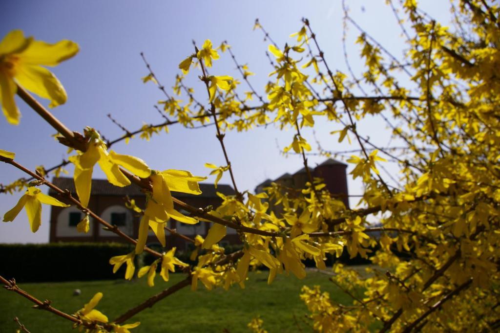 Agriturismo Cascina Nuova Villa วาเลนซา ภายนอก รูปภาพ