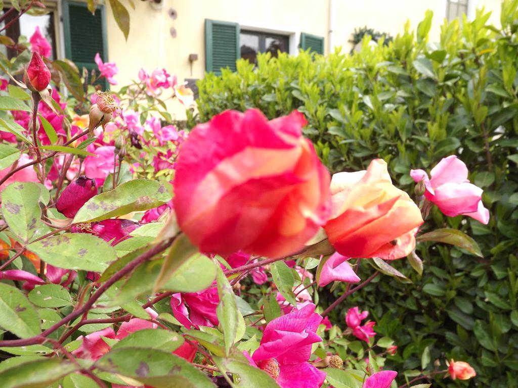 Agriturismo Cascina Nuova Villa วาเลนซา ภายนอก รูปภาพ