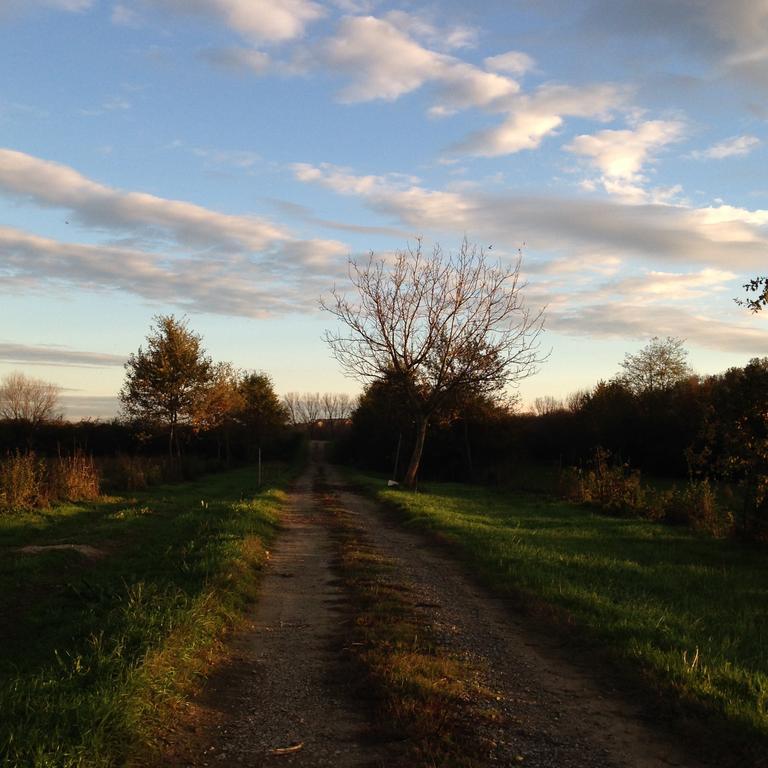 Agriturismo Cascina Nuova Villa วาเลนซา ภายนอก รูปภาพ