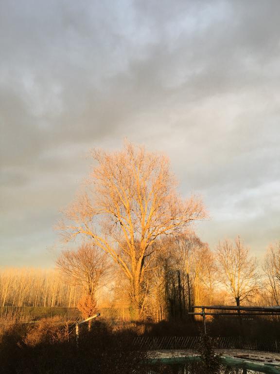 Agriturismo Cascina Nuova Villa วาเลนซา ภายนอก รูปภาพ