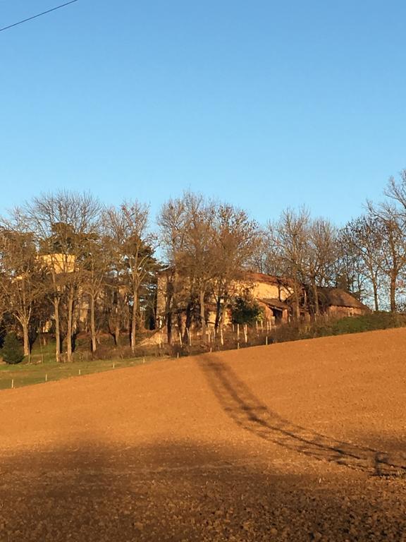 Agriturismo Cascina Nuova Villa วาเลนซา ภายนอก รูปภาพ