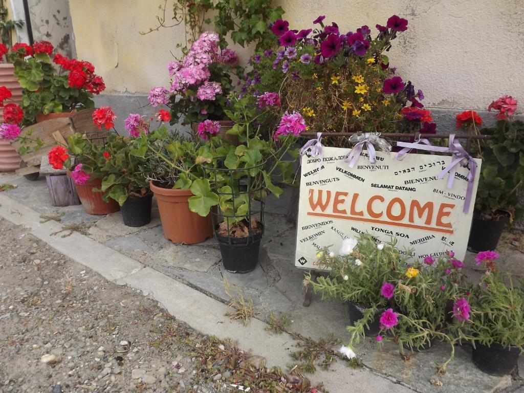 Agriturismo Cascina Nuova Villa วาเลนซา ภายนอก รูปภาพ